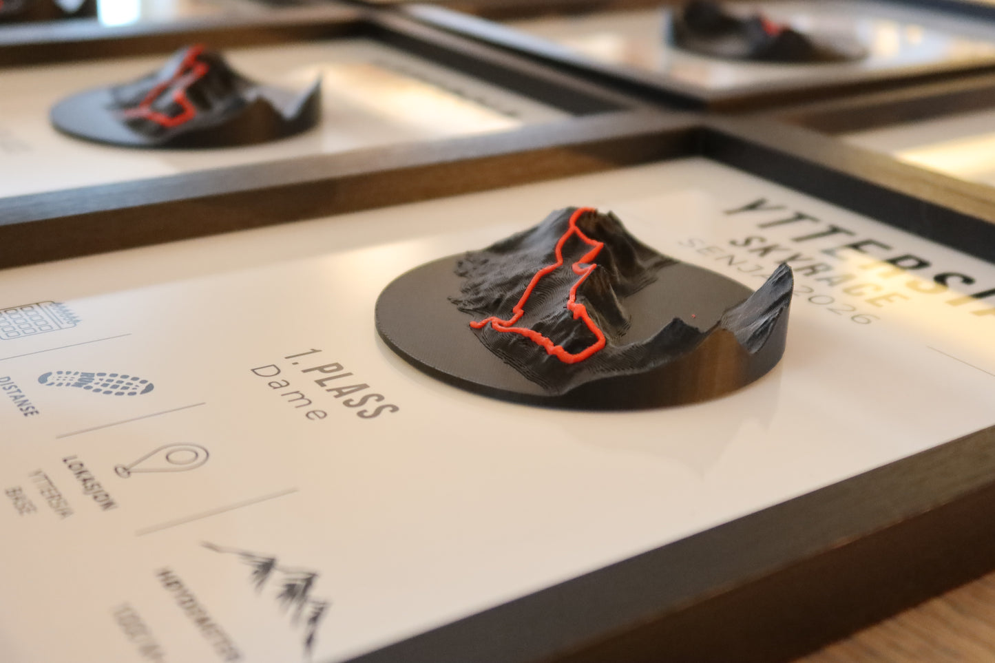 Yttersia Skyrace – 3D Map in Frame - Personalized